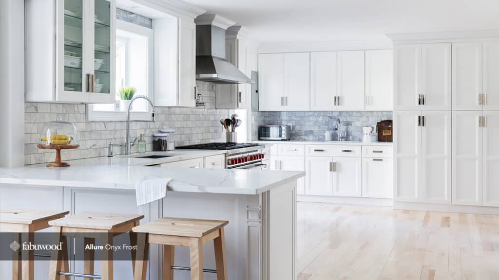 Fabuwood onyx kitchen in frost finish