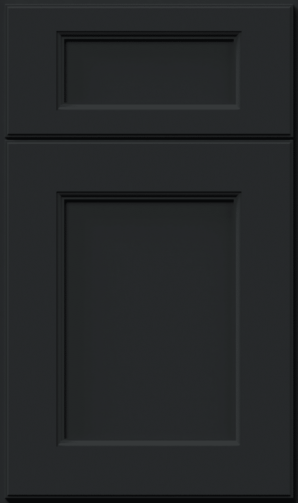 Fabuwood Fusion Door in Pitch Black Express Color