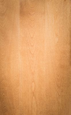 Solid slab cabinet door style in light stain