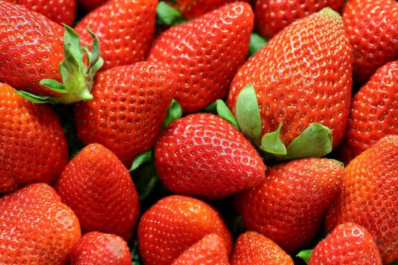 Awesome strawberries for rinsed and ready to dip in chocolate